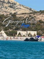 Επιχείρησαν να κάνουν πάρτι χωρίς άδεια στην προστατευόμενη παραλία του Πολύαιγου Επιχείρησαν να κάνουν πάρτι χωρίς άδεια στην προστατευόμενη παραλία του Πολύαιγου