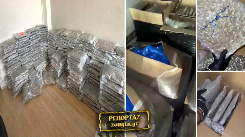 Συνελήφθη σεσημασμένος λαθρέμπορος στην Ηγουμενίτσα με φορτίο «μαμούθ» Skunk αξίας 1,2 εκατ. ευρώ Συνελήφθη σεσημασμένος λαθρέμπορος στην Ηγουμενίτσα με φορτίο «μαμούθ» Skunk αξίας 1,2 εκατ. ευρώ