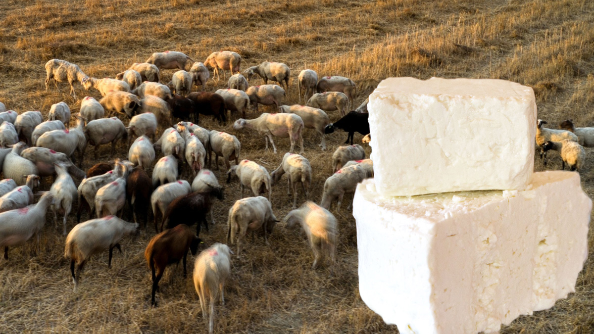 Θα πούμε και το τυρί… τυράκι