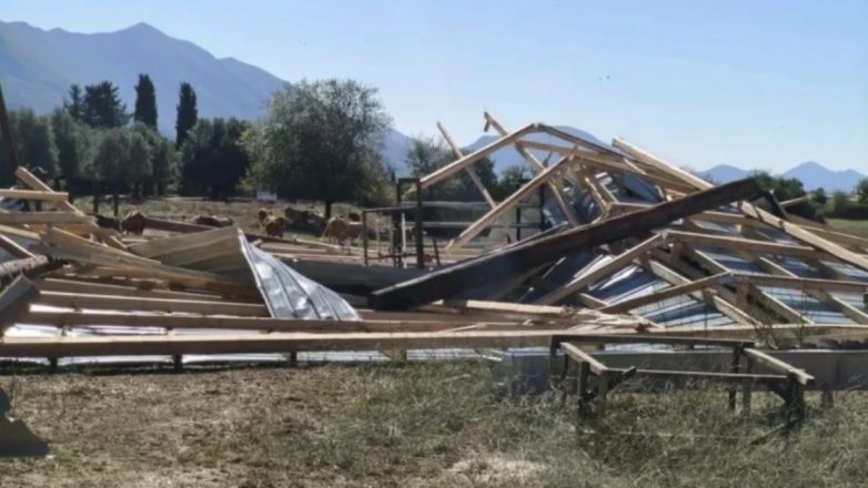 Θεσπρωτία: Ανεμοστρόβιλος ισοπέδωσε ολοκαίνουρια κτηνοτροφική μονάδα Θεσπρωτία: Ανεμοστρόβιλος ισοπέδωσε ολοκαίνουρια κτηνοτροφική μονάδα
