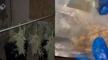 Άνω Λιόσια: Είχε μετατρέψει το σπίτι του σε εργαστήριο καλλιέργειας κάνναβης