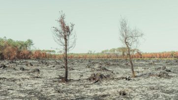 Γαλλία: Σβήστηκε ολοσχερώς η μεγάλη πυρκαγιά στη Ζιρόντ