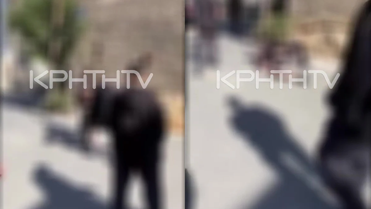 Άγιος Νικόλαος: Βίντεο από τον άγριο ξυλοδαρμό 12χρονου από συνομίληκους Άγιος Νικόλαος: Βίντεο από τον άγριο ξυλοδαρμό 12χρονου από συνομίληκους