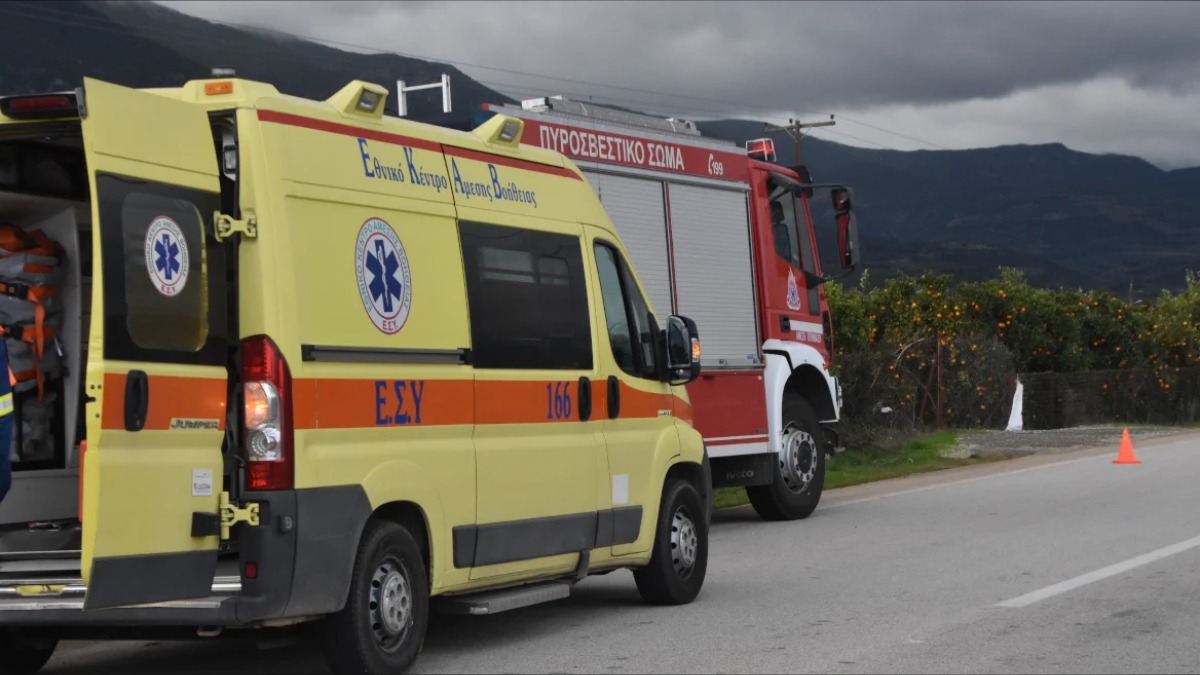Αχαΐα: Άνδρας καταπλακώθηκε από δέντρο και έχασε τη ζωή του
