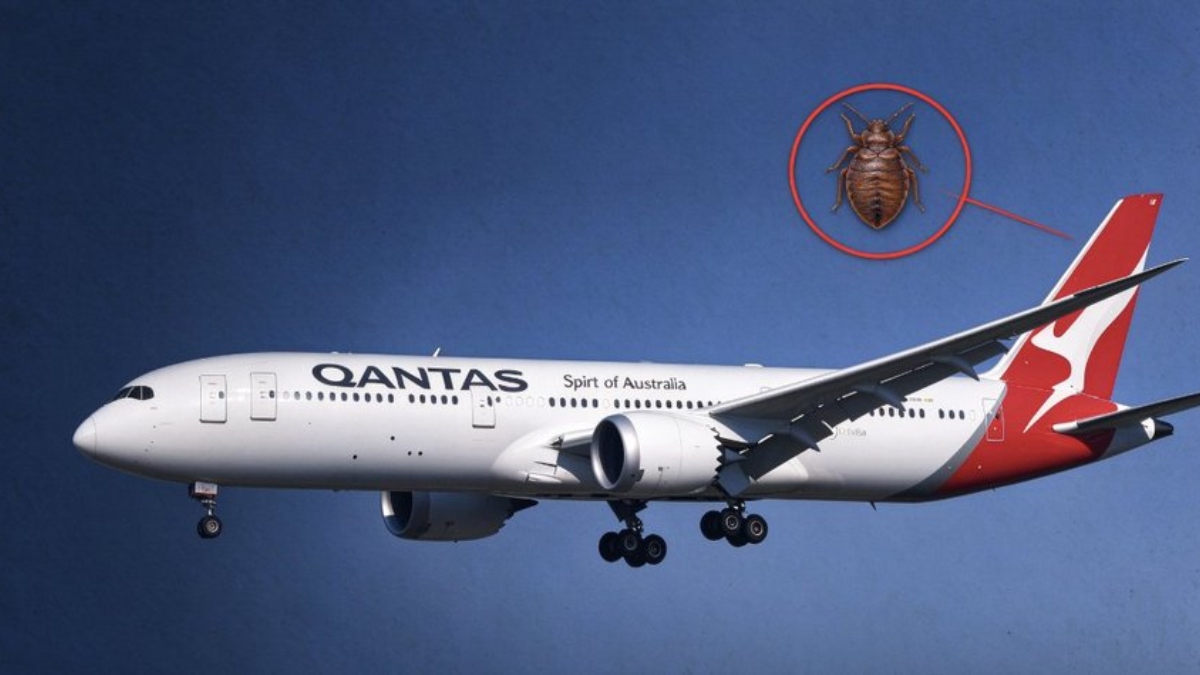 Επιδρομή από… κοριούς σε πτήση της Qantas για Ρώμη