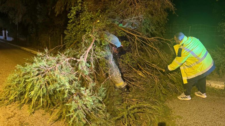 Ηλεία: Χαλάζι και ανεμοστρόβιλος «σάρωσαν» τις καλλιέργειες Ηλεία: Χαλάζι και ανεμοστρόβιλος «σάρωσαν» τις καλλιέργειες