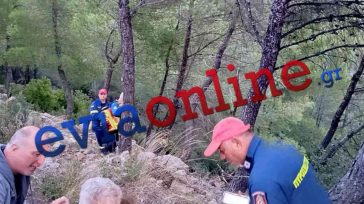 Εύβοια: Αυτοκίνητο έπεσε σε γκρεμό 30 μέτρων – Απεγκλωβίστηκαν 65χρονη και βρέφος