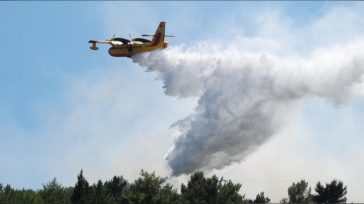 Φωτιά σε δασική έκταση στην Κέα