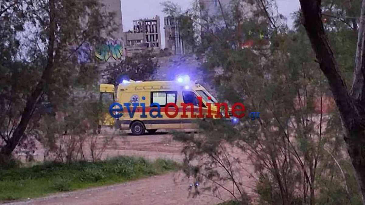 Χαλκίδα: Τραγωδία με πτώση άνδρα από την Υψηλή Γέφυρα Χαλκίδα: Τραγωδία με πτώση άνδρα από την Υψηλή Γέφυρα
