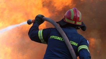 Πιερία: Υπό έλεγχο η πυρκαγιά σε εργοστάσιο μανιταριών στον Κολινδρό