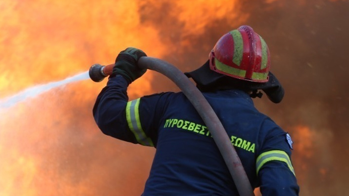 Πιερία: Υπό έλεγχο η πυρκαγιά σε εργοστάσιο μανιταριών στον Κολινδρό Πιερία: Υπό έλεγχο η πυρκαγιά σε εργοστάσιο μανιταριών στον Κολινδρό
