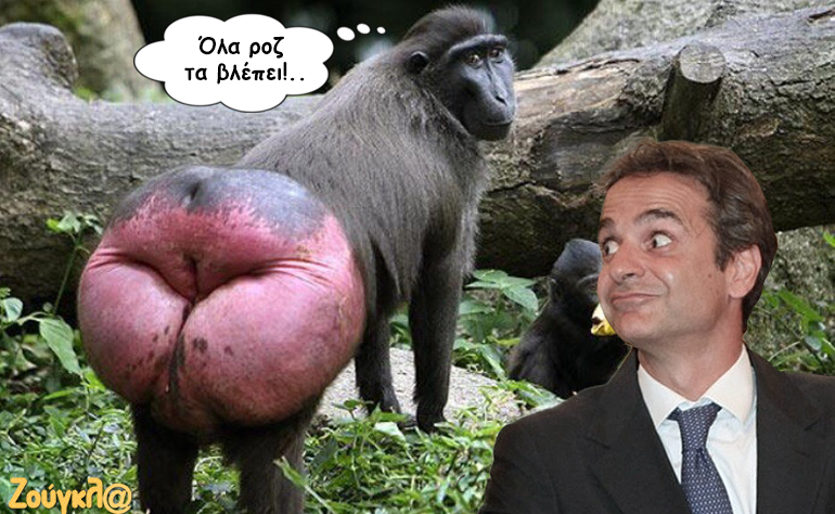 Το σκίτσο της ημέρας – 21/10/16