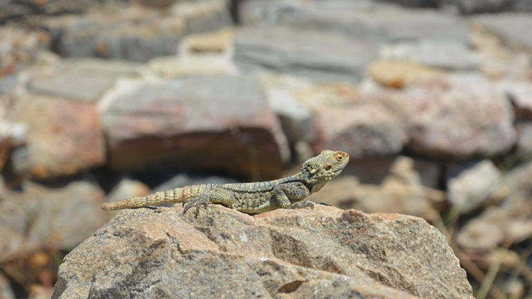 Photo Book Summer 2017