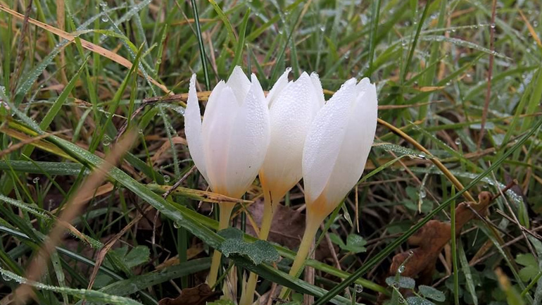 Ελλάδα- Φύση/Τοπία