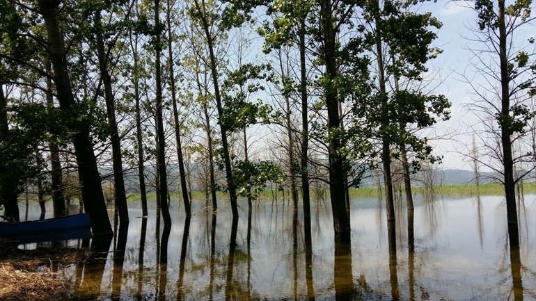 Η λίμνη της Δοϊράνης