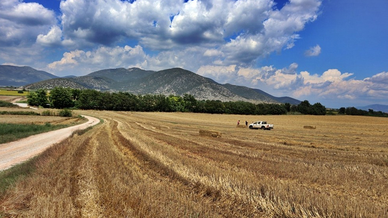 Ελληνική ύπαιθρος