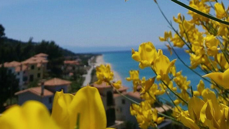 Καλοκαιρινές φωτογραφίες