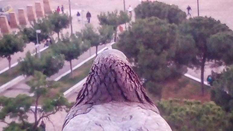 Όταν η φύση παρατηρεί τους ανθρώπους…