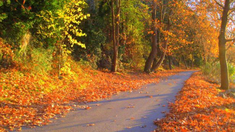 Φθινόπωρο – Χειμώνας – Άνοιξη – Καλοκαίρι