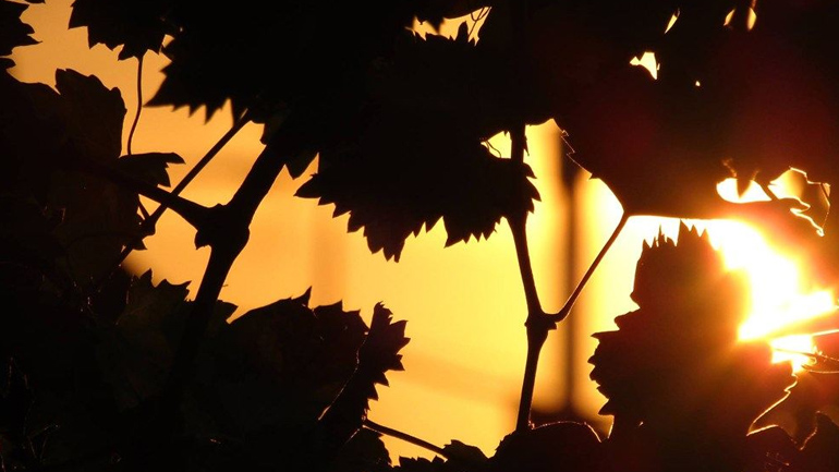 Φύση Τοπία και Άνθρωπος