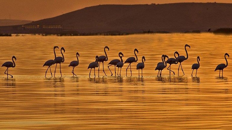 Ελλάδα – Φύση / Τοπία