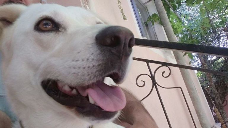 Ζάκυνθος – φυσικό και ανθρωπογενές περιβάλλον