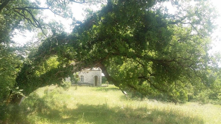 ΡΙΖΟ ΙΩΑΝΝΙΝΩΝ