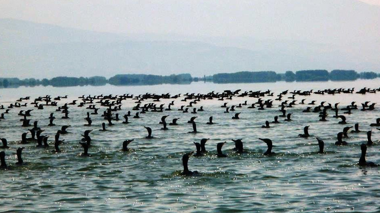 • Ελλάδα – Φύση / Τοπία