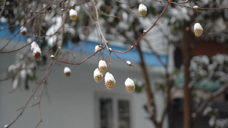 Η ΦΥΣΗ ΜΕΣΑ ΣΤΗΝ ΠΟΛΗ