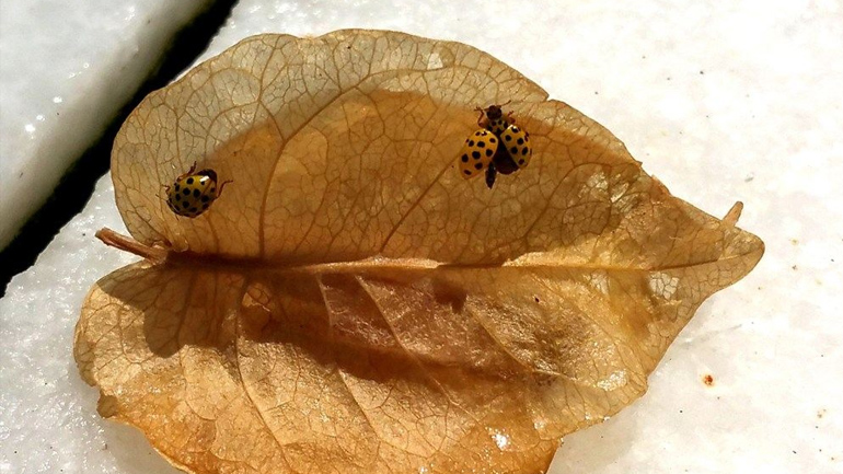 Φύση – Τοπία