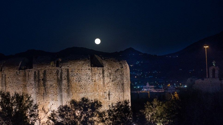 ΑΥΓΟΥΣΤΙΑΤΙΚΗ ΠΑΝΣΕΛΗΝΟΣ