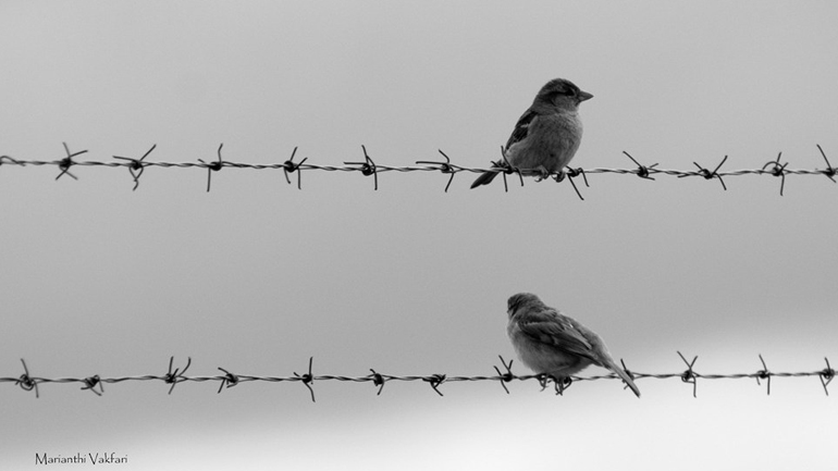 Ελληνική Φύση…σε άσπρο μαύρο