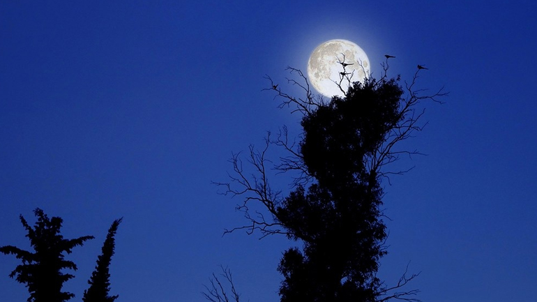 ΜΙΑ ΒΟΛΤΑ ΣΤΗΝ ΕΛΕΥΣΙΝΑ