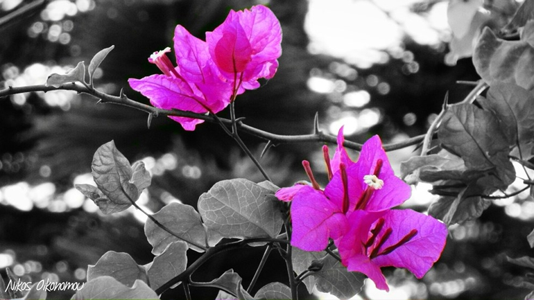 Ελλάδα – Φύση / Τοπία