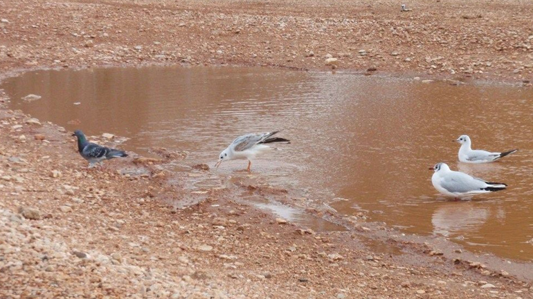 Το υγρό στοιχείο, πάντα με μαγεύει!!!