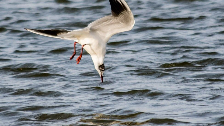 Φυση / Τοπια
