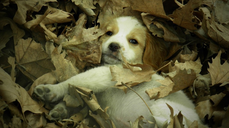 Η μέρα της Μαρίας