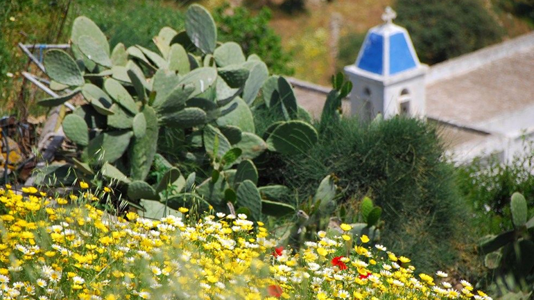 Ελλάδα – Φύση / Τοπία