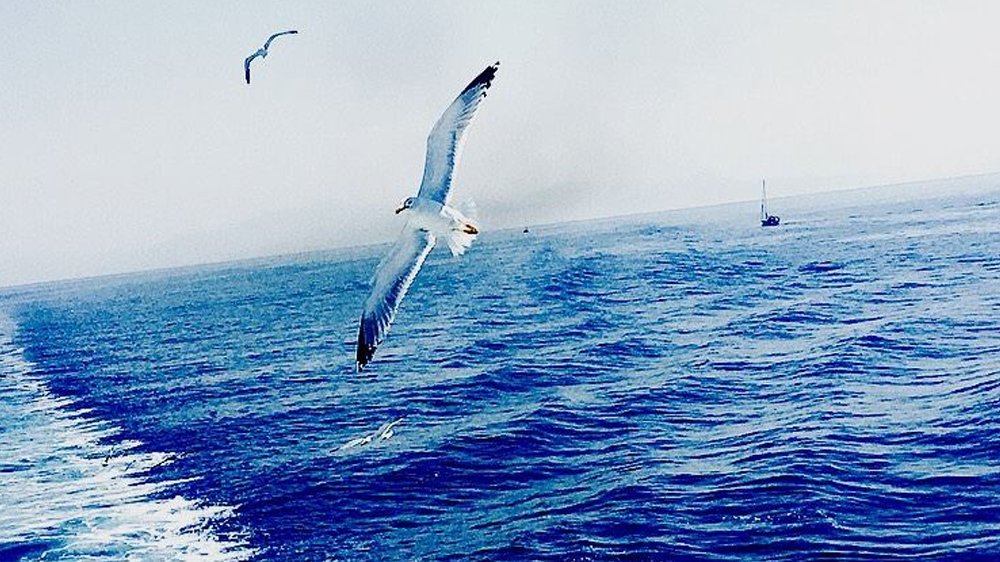 Ελλάδα-Φύση/Τοπία