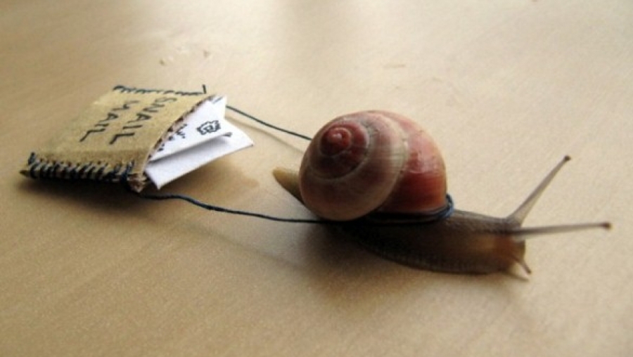 Προσωρινό θέμα με εγγραφές και emails