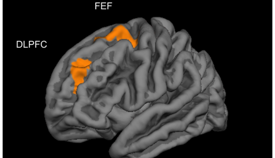 Τα video games επεκτείνουν το μυαλό