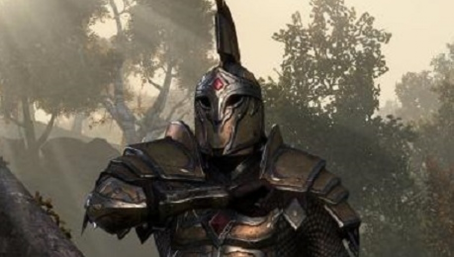 The Elder Scrolls Online: Μέτρα κατά των spammers
