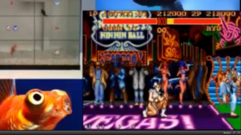 Ψάρια παίζουν Street Fighter 2 στο Twitch
