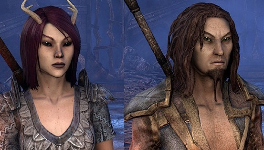 The Elder Scrolls Online: Class Guide