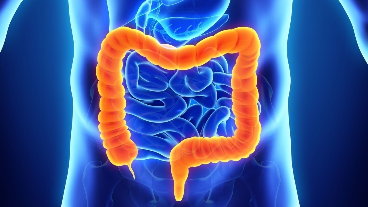 Ο βαθύς διαλογισμός αυξάνει τα ευεργετικά μικρόβια του εντέρου