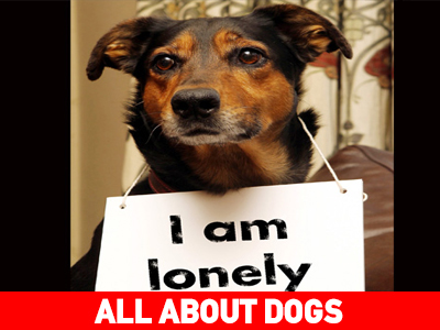 Άγχος αποχωρισμού