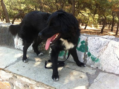 Ψάχνει την παλιά ή τη… νέα του οικογένεια