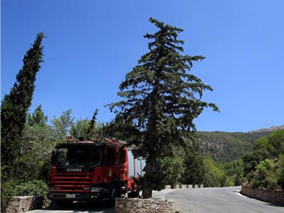 Ηλικιωμένη πήγε για τσάι και… χάθηκε