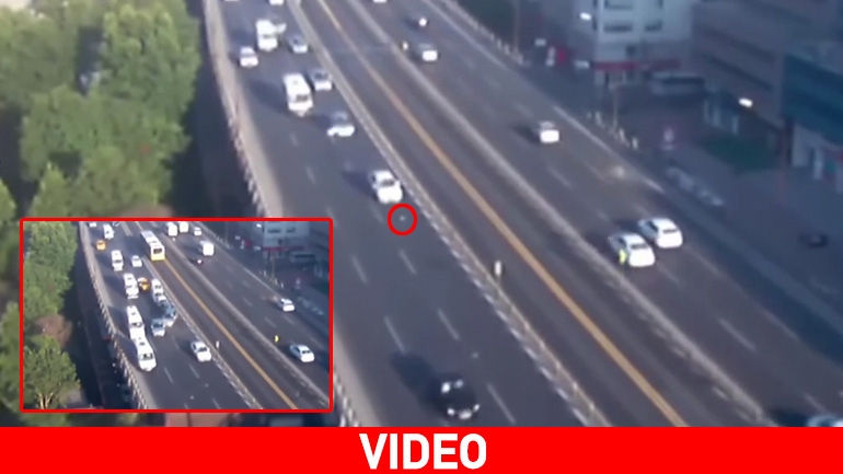 Κωνσταντινούπολη: Γλάρος προκαλεί… καραμπόλα σε αυτοκινητόδρομο