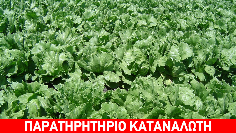 Δέσμευση μαρουλιών (άισμπεργκ) χωρίς σήμανση στην περιοχή του Ρέντη